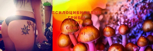 тгк Баксан