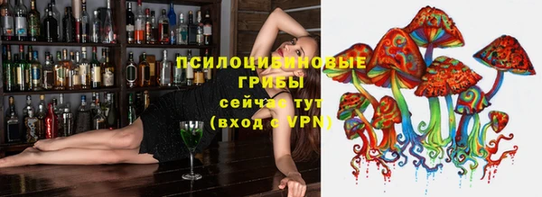 тгк Баксан