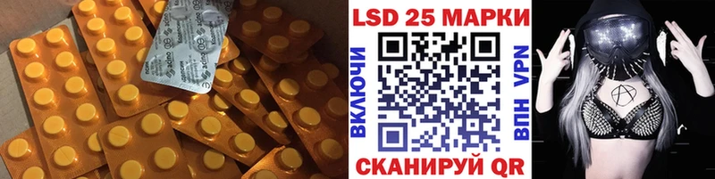 Купить закладки  Ардатов  LSD-25 экстази ecstasy 