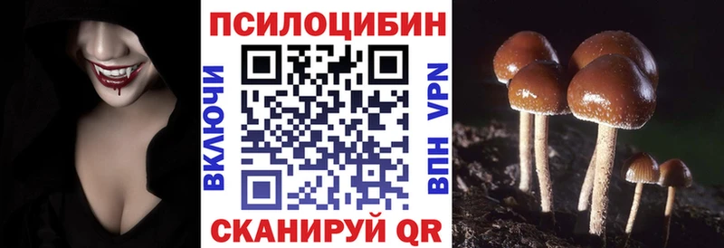Псилоцибиновые грибы Psilocybe  Купить где  Ардатов 